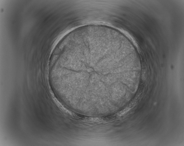 X0000085730903200704091441