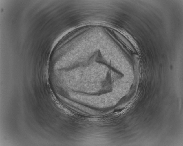 X0000085730904200704091441