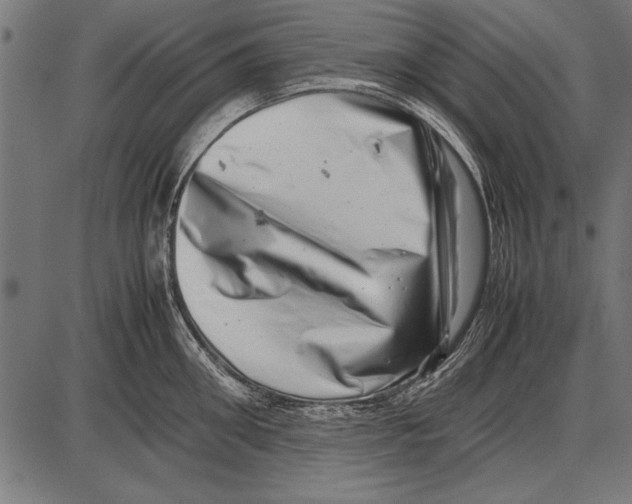 X0000085730906200704091441