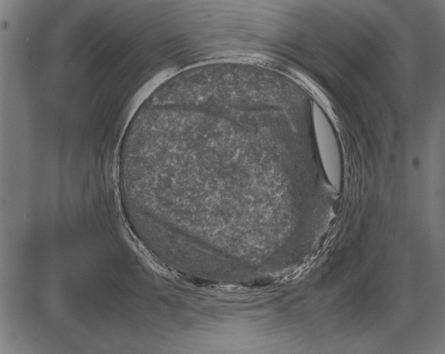 X0000085730907200704091441