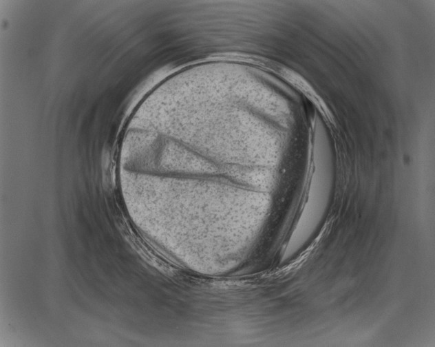 X0000085730908200704091441