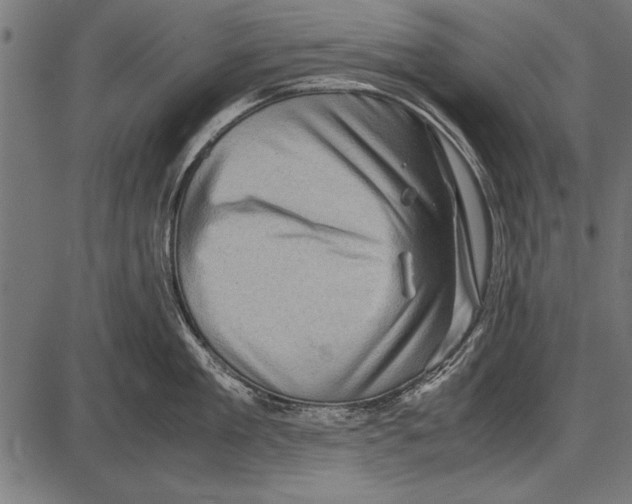 X0000085730909200704091441