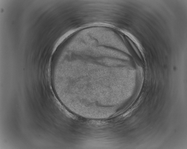 X0000085730910200704091441