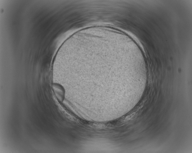 X0000085730911200704091441