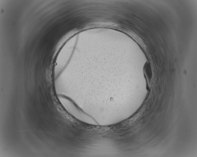 X0000085730912200704091441