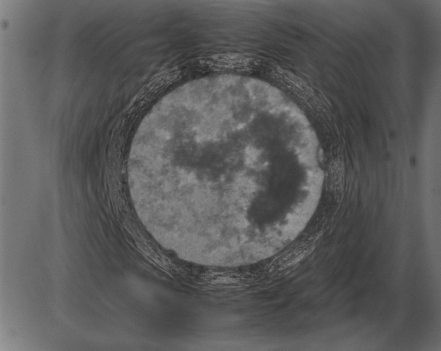 X0000085730913200704091440