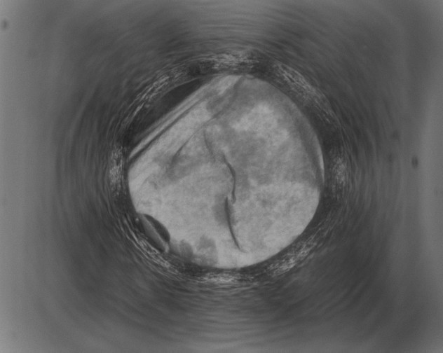 X0000085730914200704091440