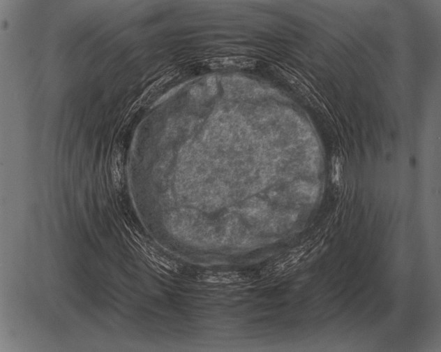 X0000085730915200704091440