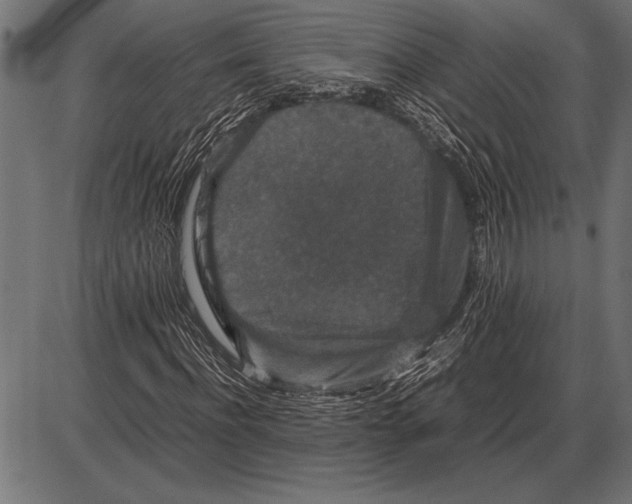 X0000085730916200704091440