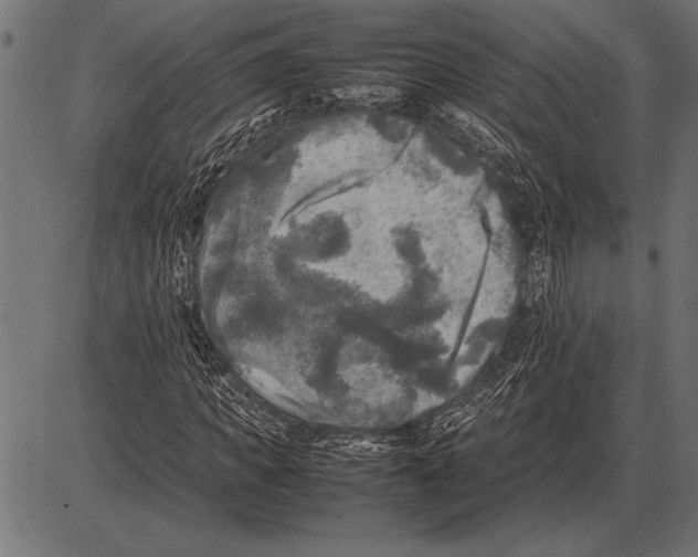 X0000085730917200704091440