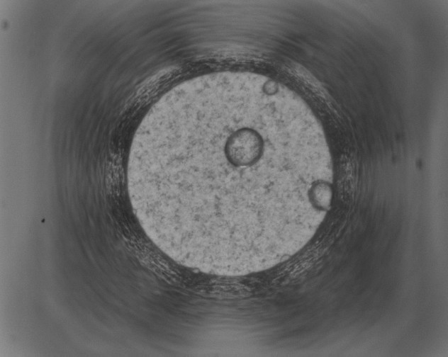 X0000085730918200704091440