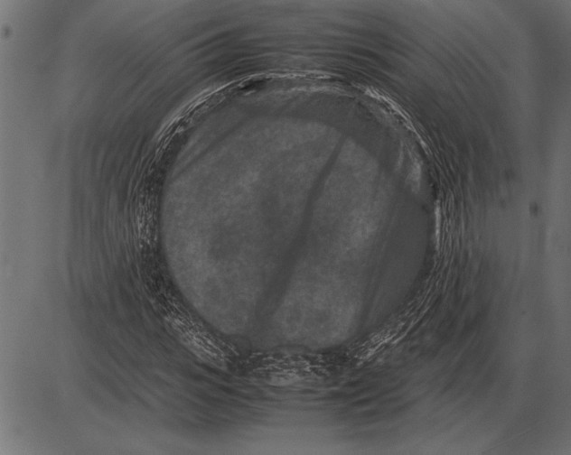 X0000085730919200704091440