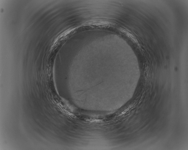 X0000085730920200704091440