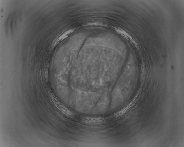 X0000085730921200704091440