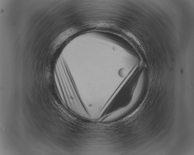 X0000085730922200704091440