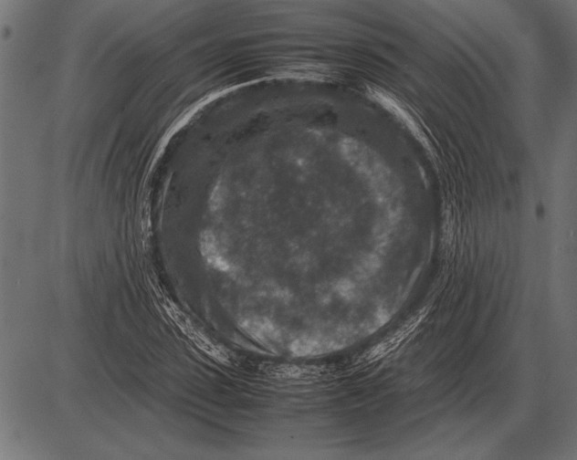 X0000085730923200704091440