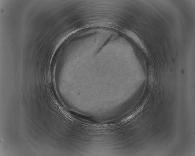 X0000085730924200704091440