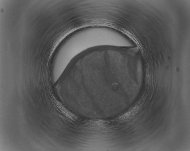 X0000085730926200704091440