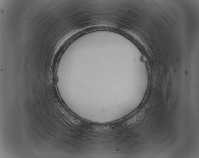 X0000085730927200704091440