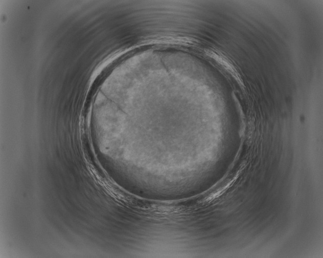 X0000085730928200704091440