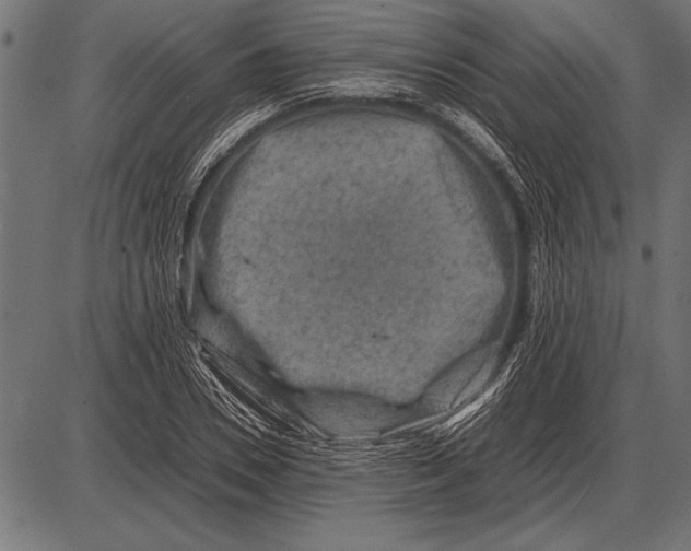 X0000085730930200704091440