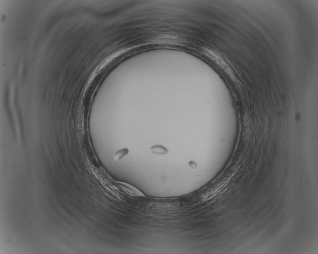 X0000085730931200704091440