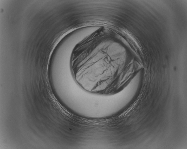 X0000085730932200704091440