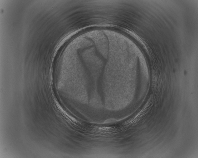 X0000085730935200704091440