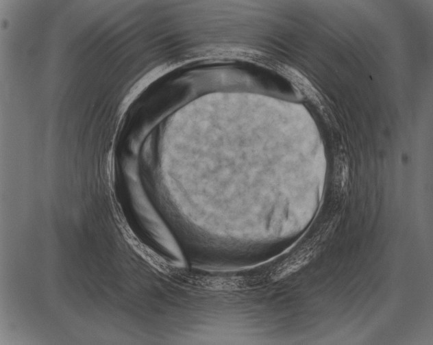 X0000085730936200704091440