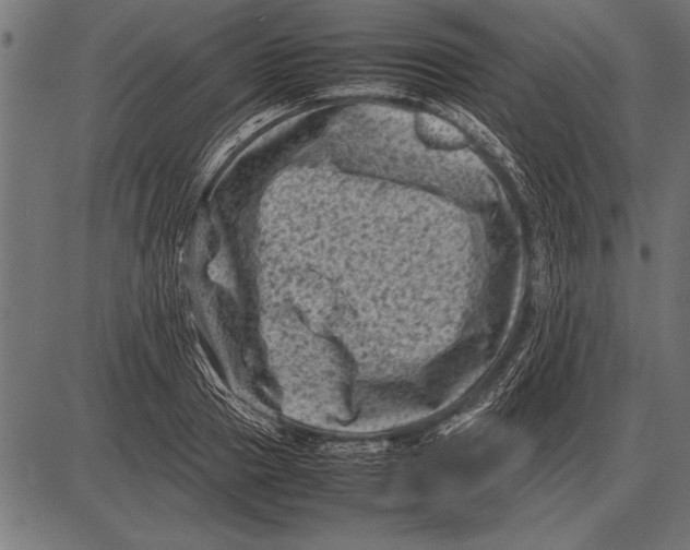 X0000085730937200704091440