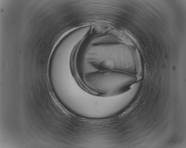 X0000085730940200704091440