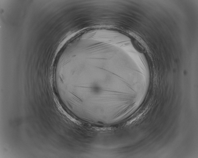 X0000085730941200704091440