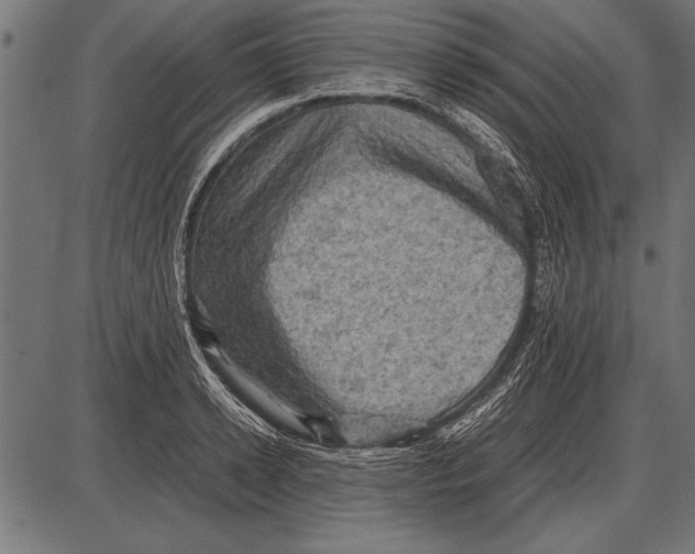 X0000085730942200704091440