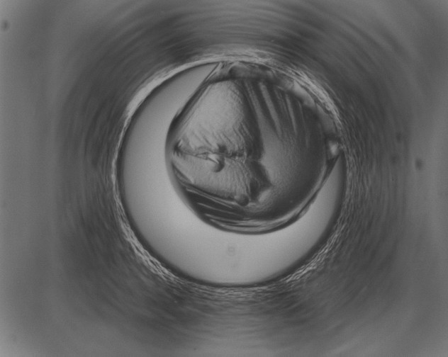 X0000085730944200704091440