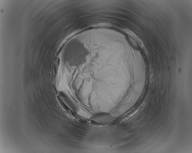 X0000085730945200704091440