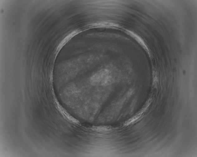 X0000085730946200704091441