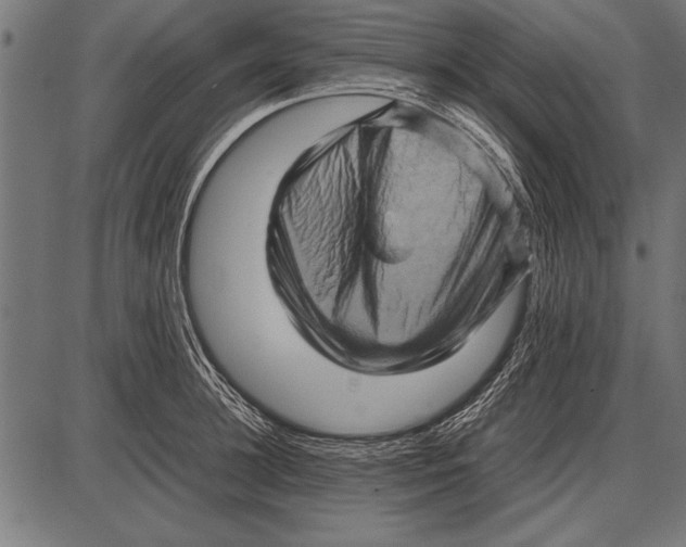 X0000085730948200704091441