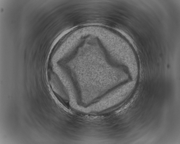 X0000085730949200704091441