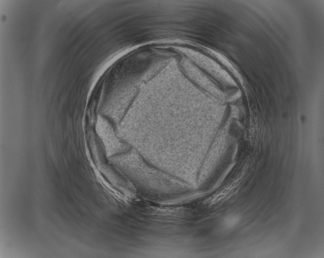 X0000085730951200704091441