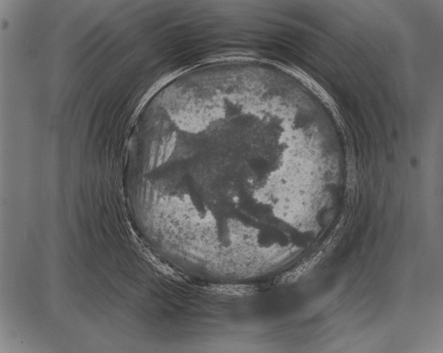 X0000085730953200704091441