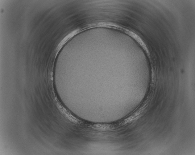 X0000085730954200704091441