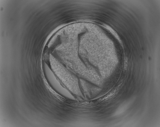 X0000085730955200704091441