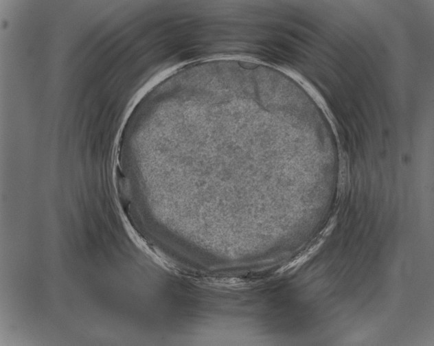 X0000085730957200704091441