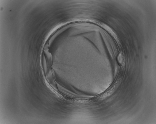 X0000085730958200704091441