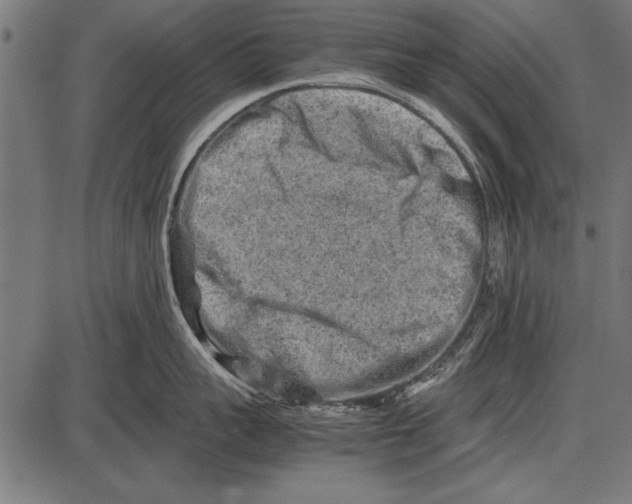 X0000085730959200704091441