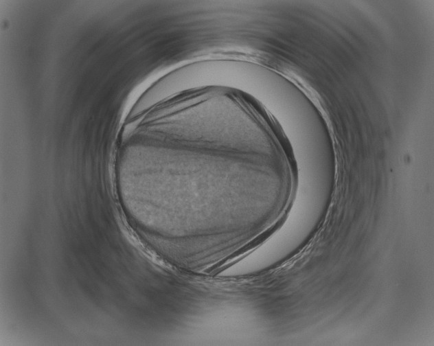 X0000085730960200704091441