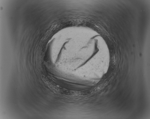 X0000085730961200704091440