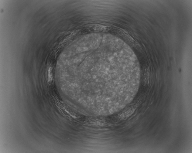 X0000085730962200704091440