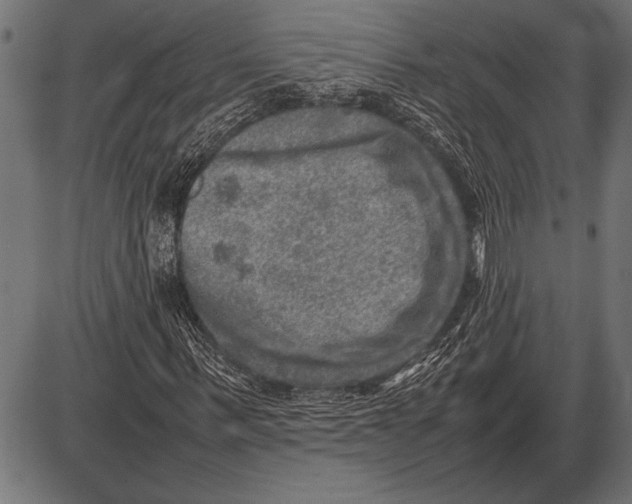 X0000085730963200704091440