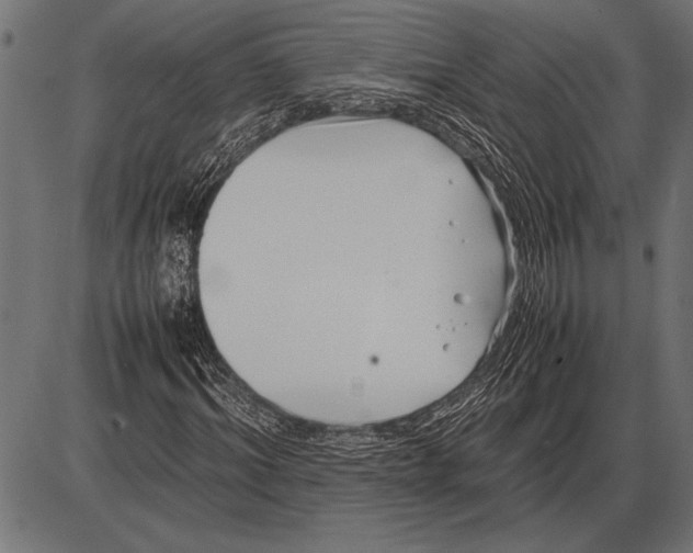 X0000085730964200704091440